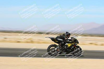 media/Jan-14-2024-SoCal Trackdays (Sun) [[2e55ec21a6]]/Back Straight Speed Pans (1145am)/